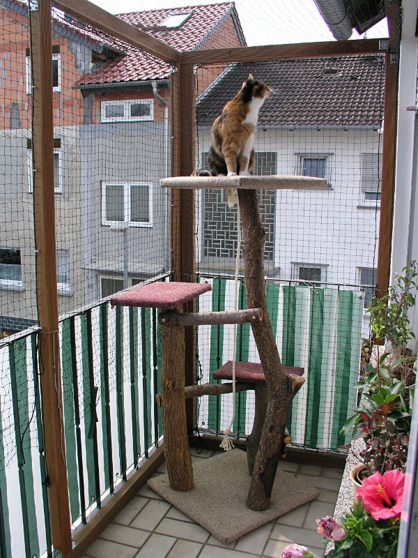 Brauche eure Ideen für die Arbeiten an unserem zukünftigen KatzenBalkon Do it yourself